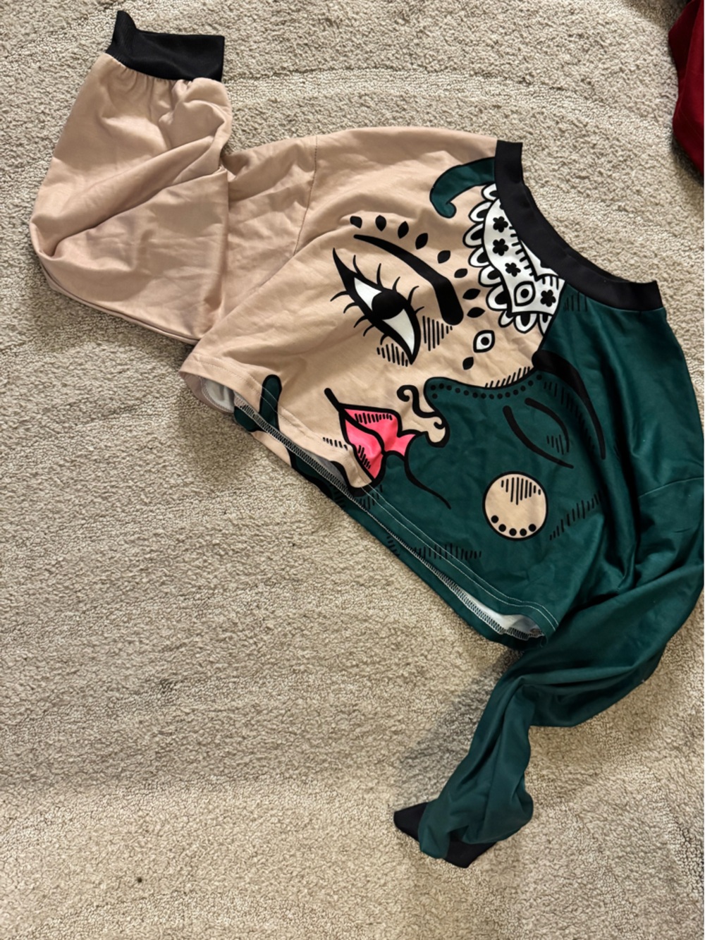Graphic Long Sleeve Crop Top in Teal and Beige with Pink Accent